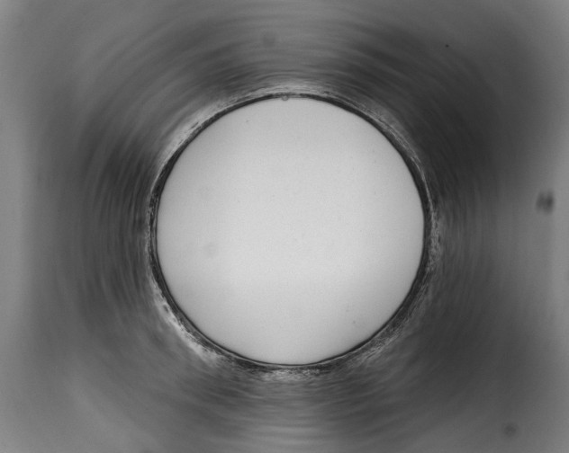 X0000115010898200911231224