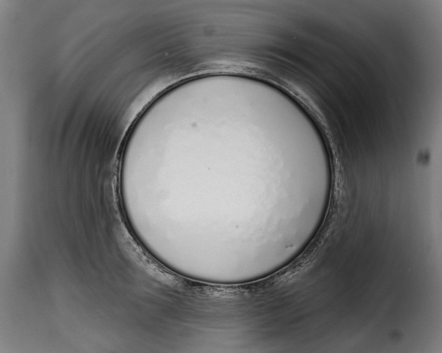 X0000115010899200911231224