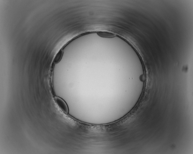 X0000115010901200911231224