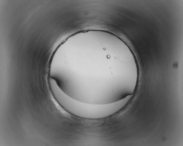 X0000115010909200911231224