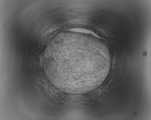 X0000115010917200911231223