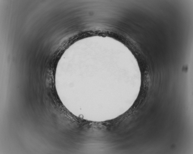 X0000115010918200911231223