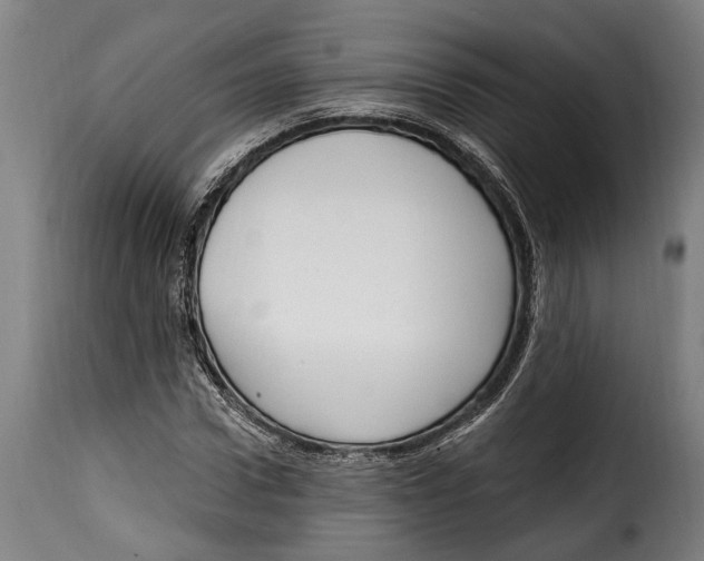 X0000115010922200911231223