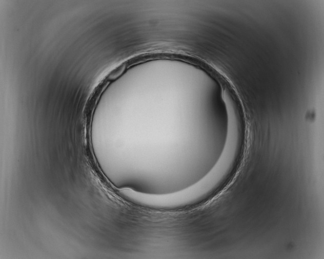 X0000115010925200911231223