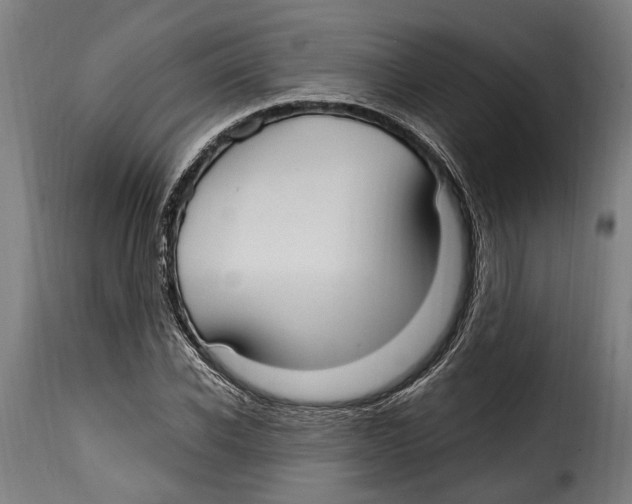 X0000115010926200911231223