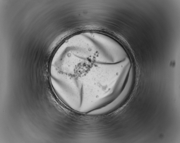 X0000115010930200911231223
