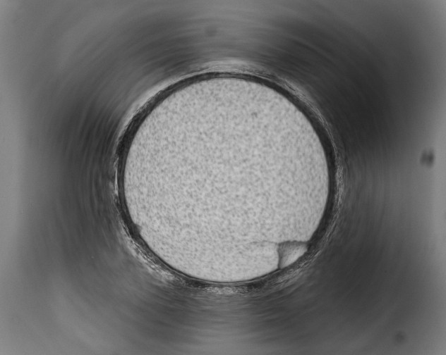 X0000115010931200911231223