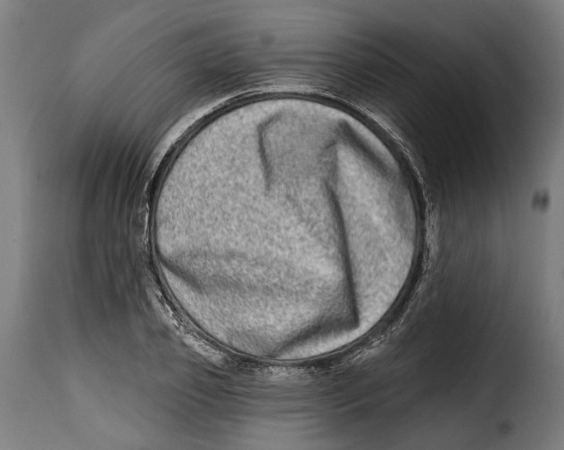 X0000115010933200911231223