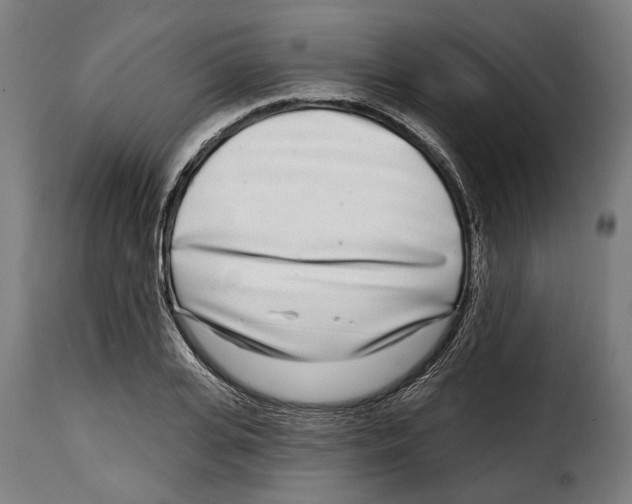X0000115010935200911231223