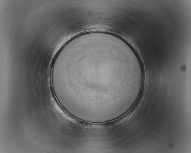 X0000115010941200911231224