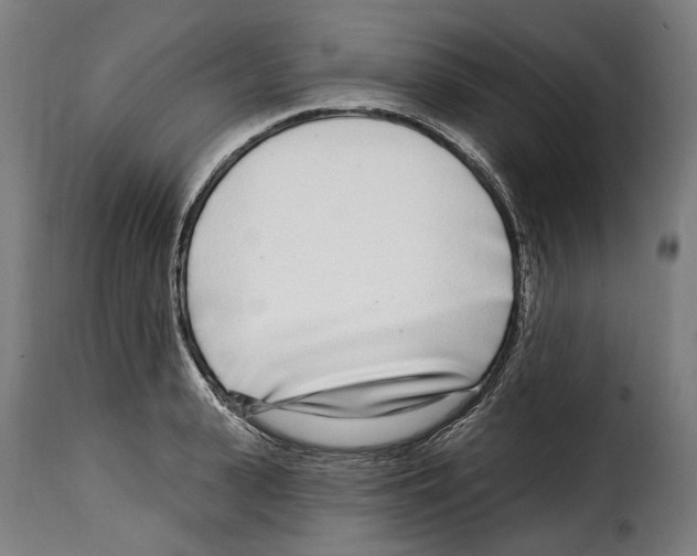 X0000115010943200911231224