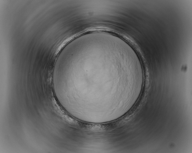 X0000115010945200911231224