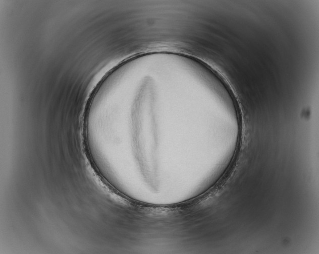 X0000115010949200911231224
