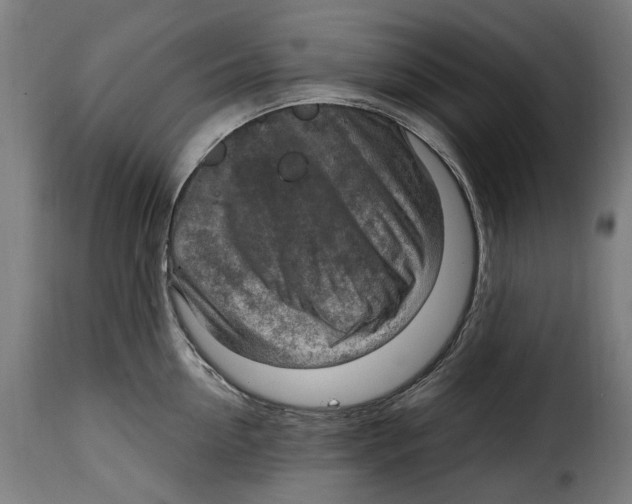 X0000115010954200911231224