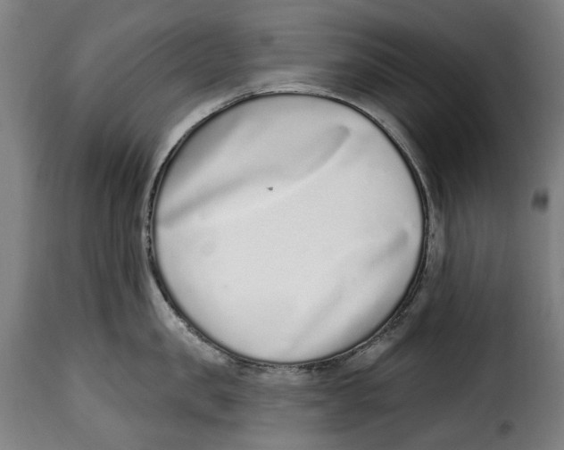 X0000115010957200911231224
