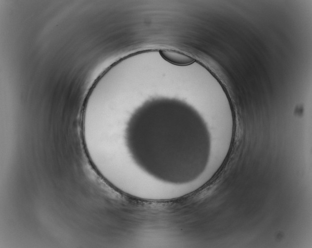 X0000115010958200911231224