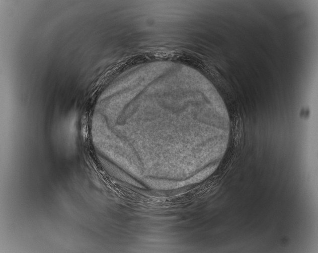 X0000115010962200911231223