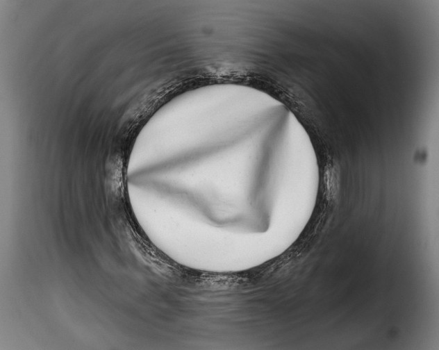 X0000115010963200911231223