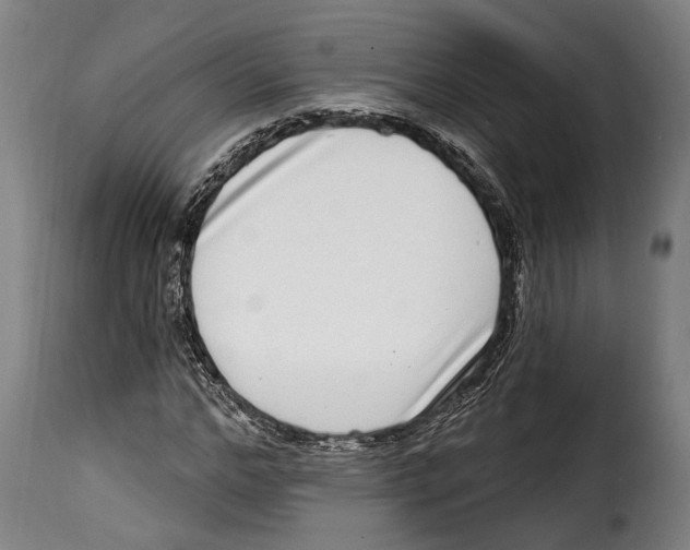 X0000115010968200911231223