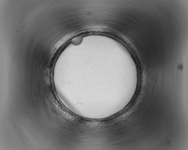 X0000115010970200911231223