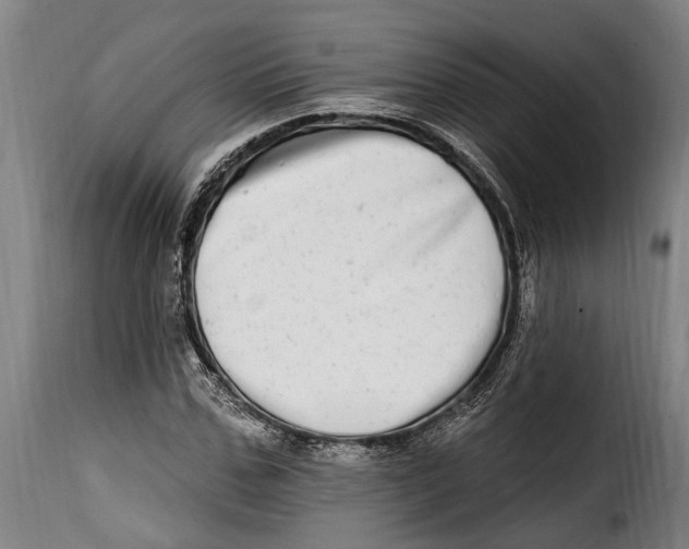 X0000115010971200911231223