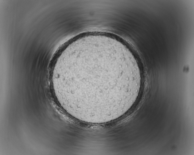X0000115010974200911231223