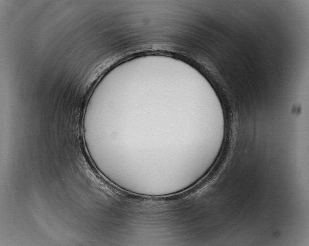 X0000115010977200911231223