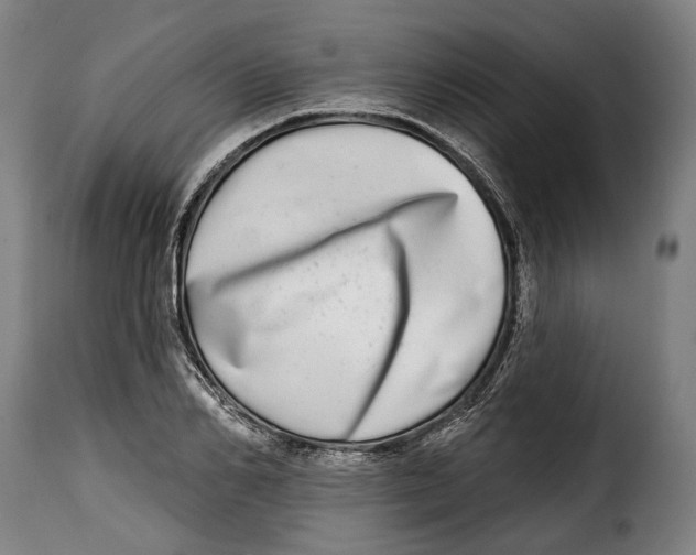 X0000115010982200911231223
