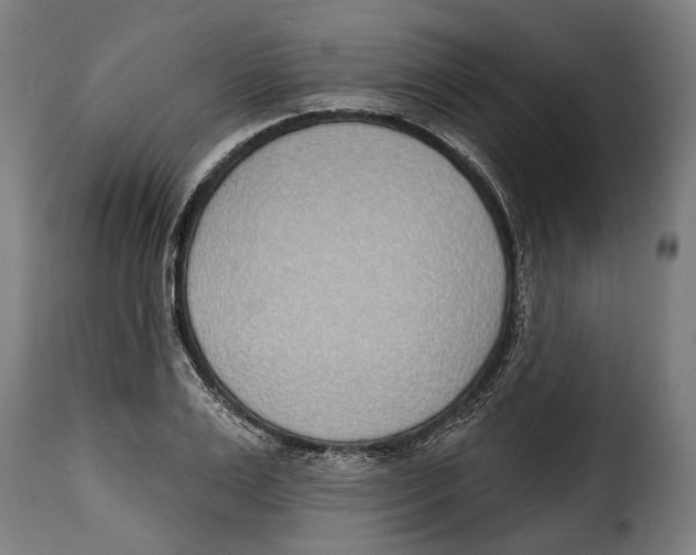 X0000115010983200911231223