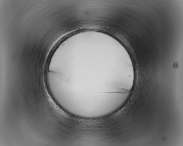 X0000115010984200911231223