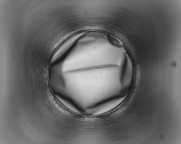 X0000115010985200911231223