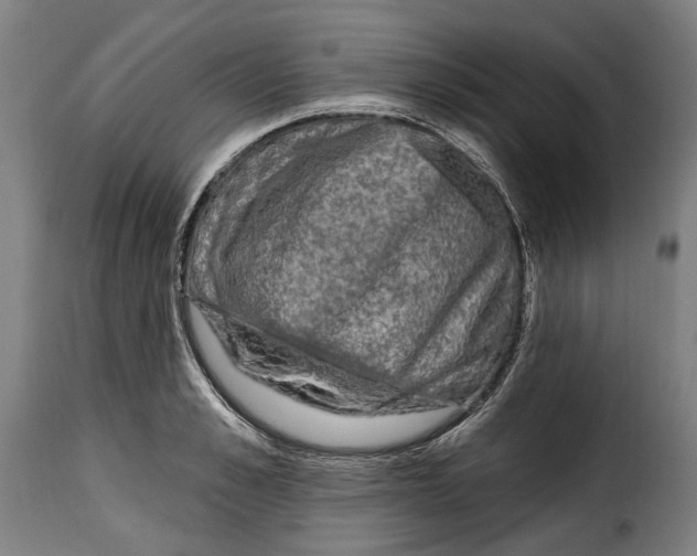X0000115010989200911231223