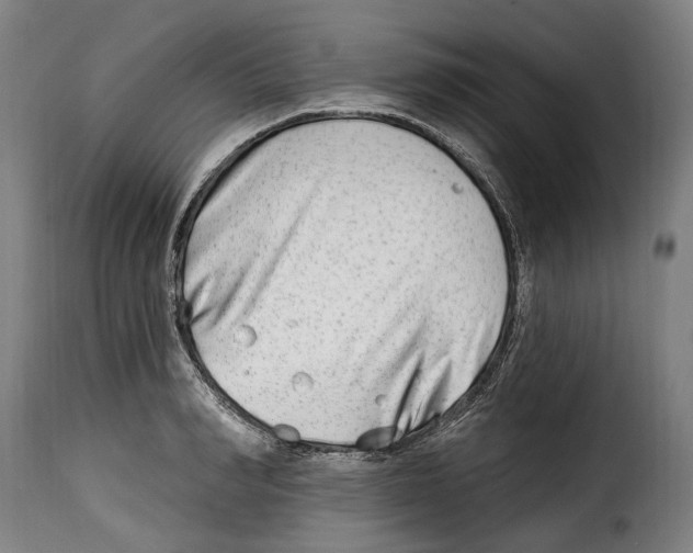 X0000115010990200911231223