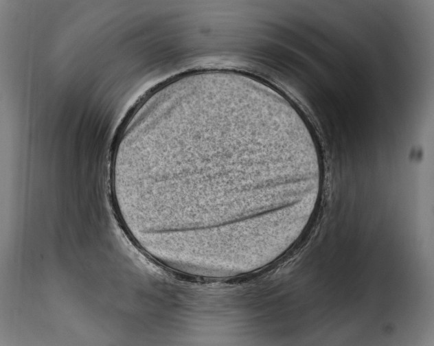 X0000115010992200911231223