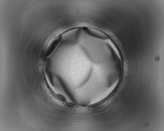 X0000115010993200911231223