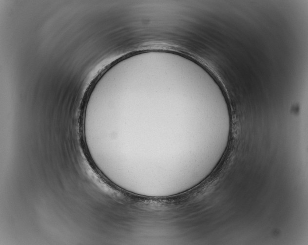 X0000115010995200911231223