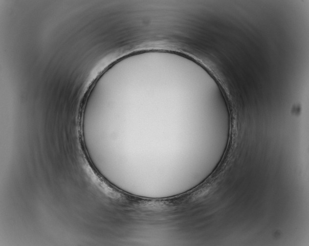 X0000115010998200911231223