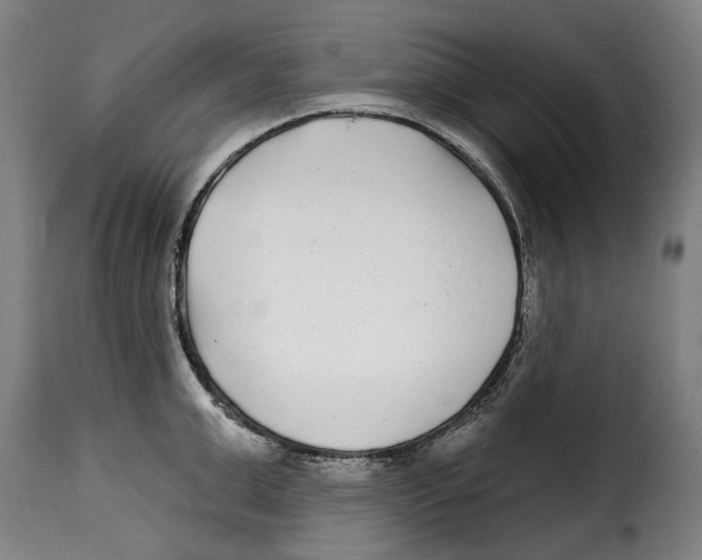 X0000115010999200911231223
