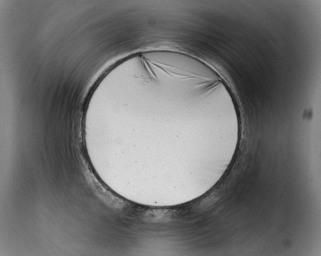 X0000115011000200911231223