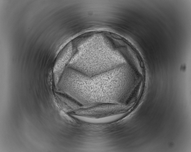 X0000115011001200911231223