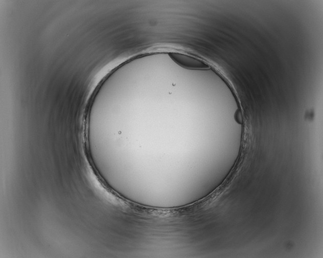X0000115011003200911231223
