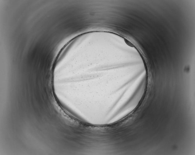 X0000115011004200911231223