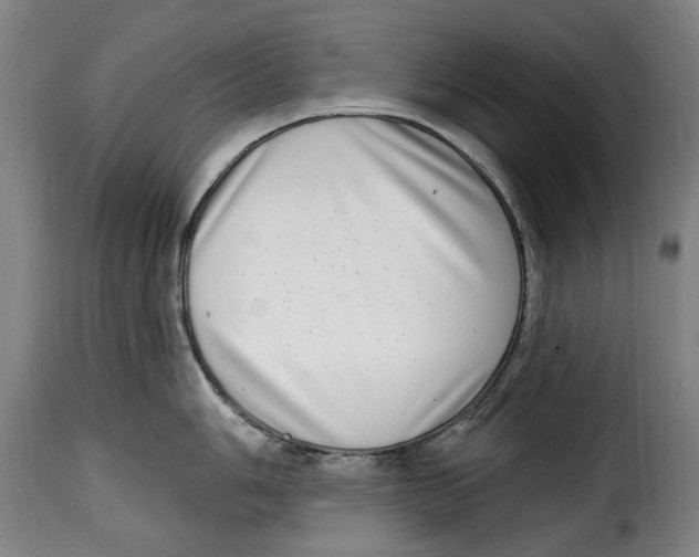 X0000115011006200911231223