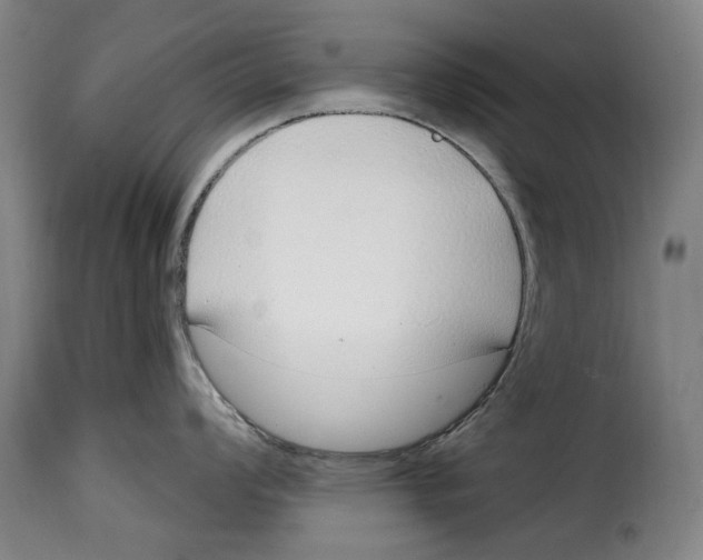 X0000115011008200911231223
