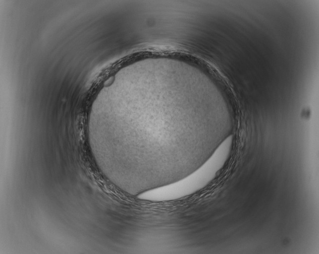 X0000115011016200911231222