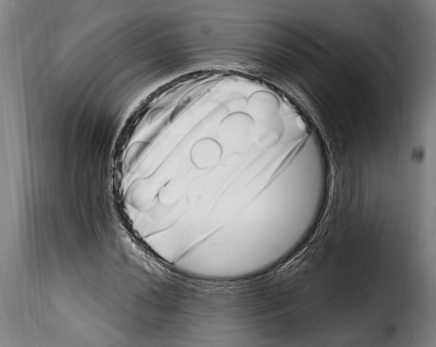 X0000115011020200911231222
