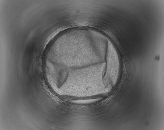 X0000115011023200911231222