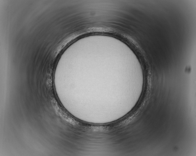 X0000115011025200911231222