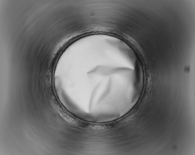 X0000115011027200911231222