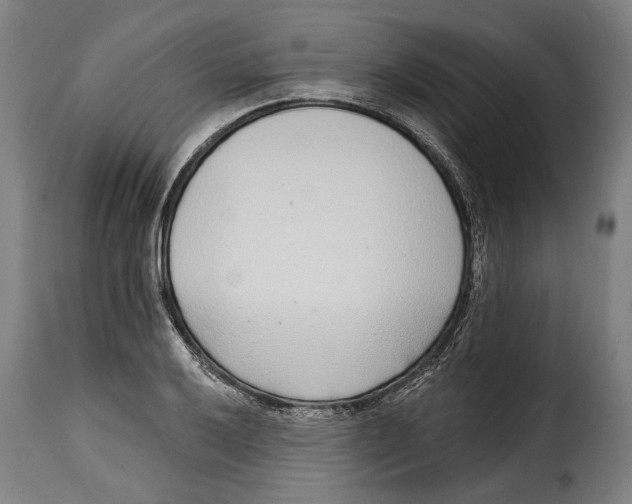 X0000115011032200911231222